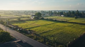 Ảnh chụp thực tế khu đất dân cư Việt Nam, các thửa đất liền kề, hàng rào phân ranh, mốc giới đất, bối cảnh đời sống thật, ánh sáng tự nhiên, không chữ, không watermark